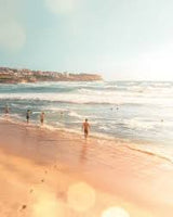 Books TeNeues Beach Life O/S Apoella