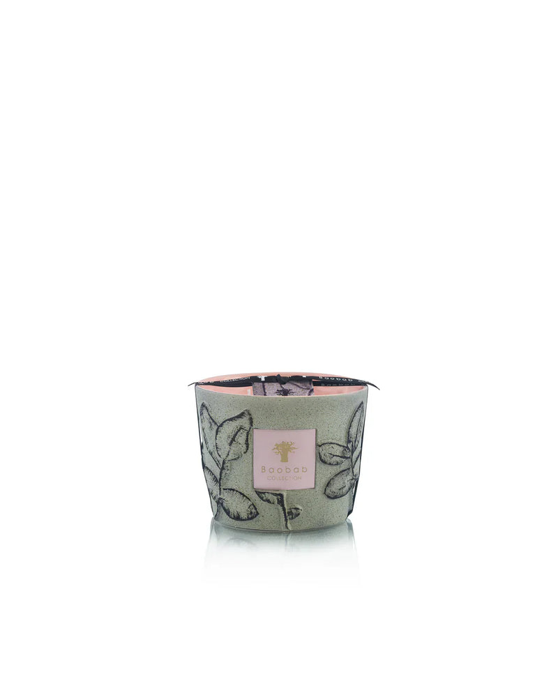 Candles Baobab Folia Maquis Limited Edition Candle Max 10 O/S Apoella