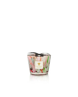 Candles Baobab Oceania Jukurrpa Limited Edition Candle Max 10 Max 10 Apoella