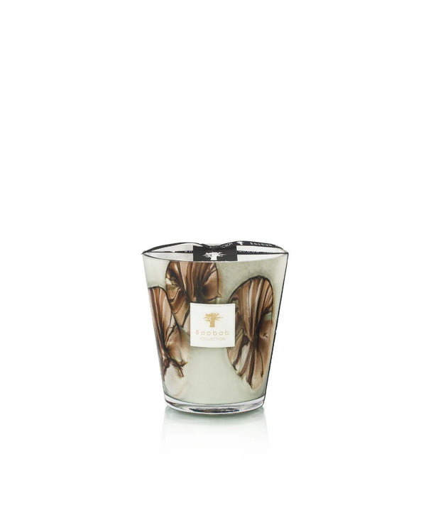 Candles Baobab Oceania Αnangu Limited Edition Candle Max 16 Max 16 Apoella