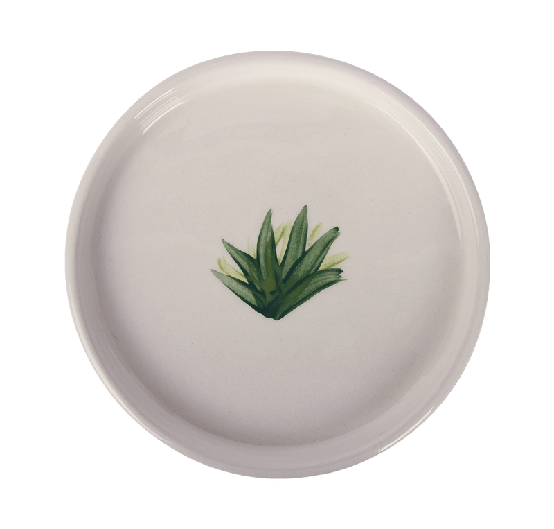 Plates Rhea Kalo Small Rim Plate Green Plants Green Plants Apoella